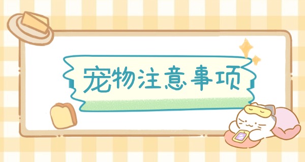 乐山训狗学校价格-乐山训狗学校价格