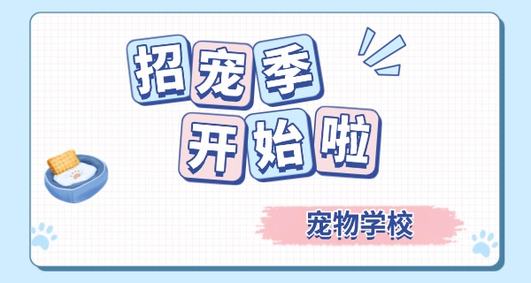 成都宠物学校培训价格表大全-成都宠物学校价格表