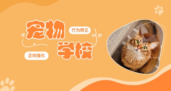 佳木斯训狗的学校在哪里-佳木斯训狗学校在哪里