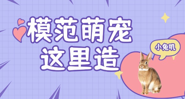 巴中宠物学校招生电话-巴中宠物学校招生电话