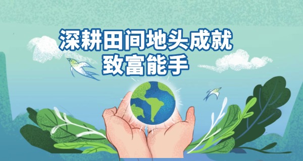 南农校园网ip地址-南农校园网IP地址