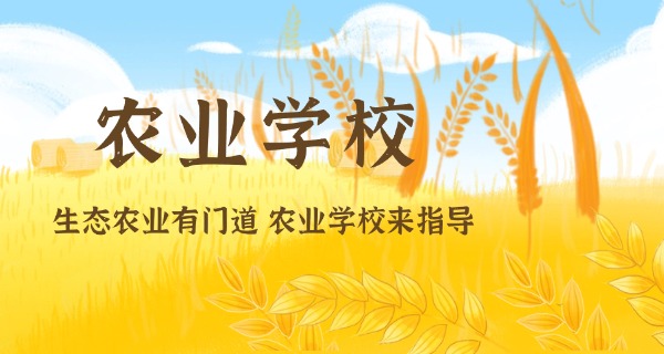 邢	台农校家属院金泉大街