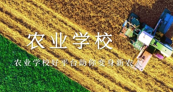 固原市农业学校农校校长是谁-固原市农业学校校长是谁