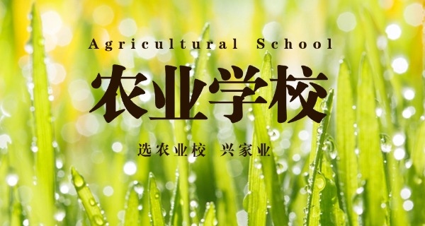 泉州市农校附近酒店有哪些名字-泉州农校周边酒店