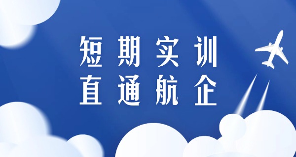 成都航空职业技术学院官网入口-成都航空职院官网入口
