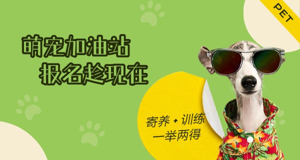 曲	靖宠物狗学校上哪找