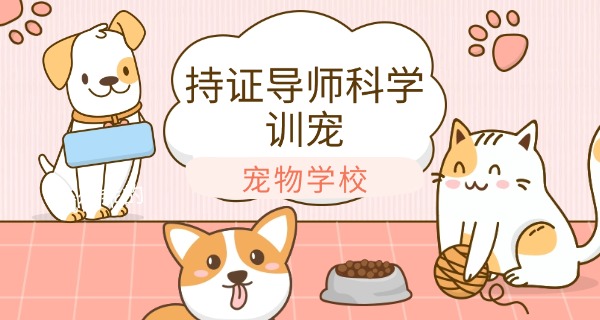 吉	林哪里有宠物训练中心