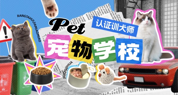 哈	密宠物学校一般要什么学历