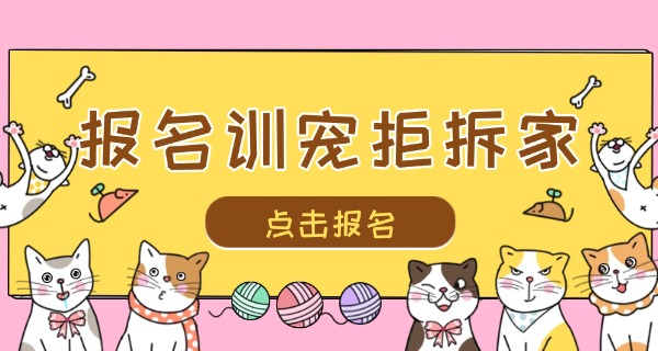 哈	密宠物学校一般要什么学历