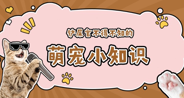 安	康宠物学校培训价格表一览