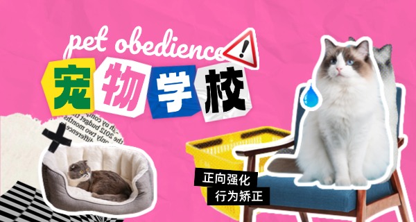 本溪宠物寄训学校有吗-本溪宠物寄训学校存在吗