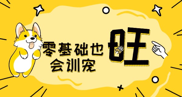 呼和浩特宠物狗学校哪家好-推荐呼和浩特宠物狗学校
