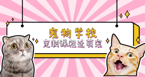 揭	阳宠物培训班