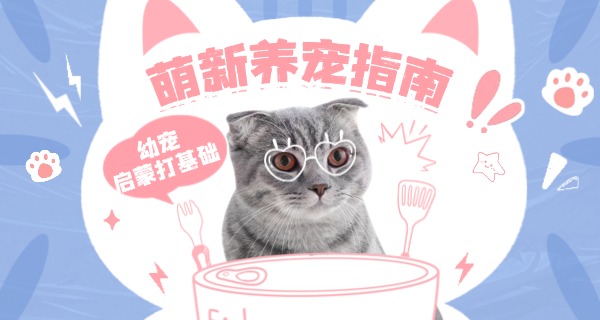 西	藏宠物学校价格
