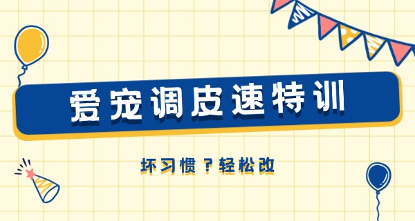 巴音郭楞宠物寄训学校有吗-巴音郭楞宠物寄训学校有吗