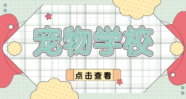 中	山宠物狗学校上哪找