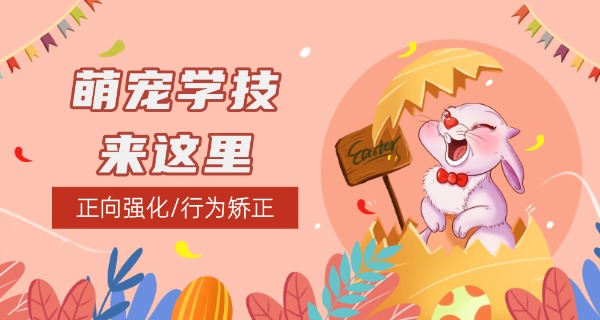 铜	仁宠物学校招生简章