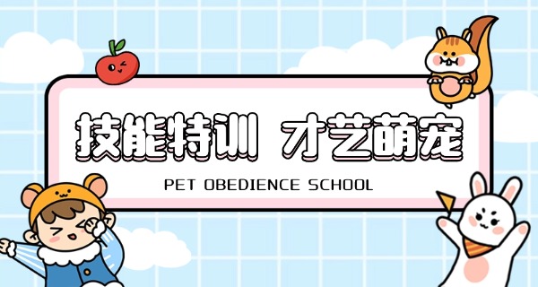 安	康的宠物学校哪家好