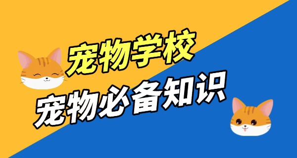 营	口专业训狗的学校有没
