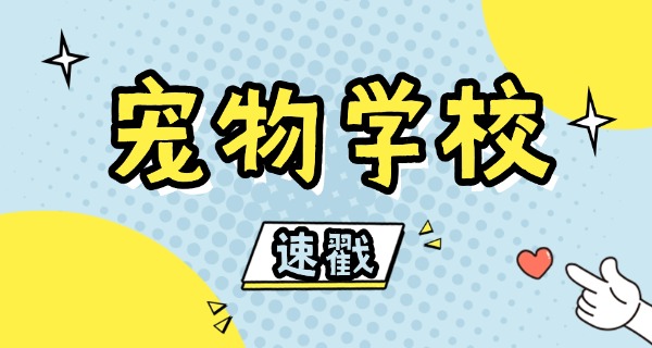 自	贡专业训狗的学校有没