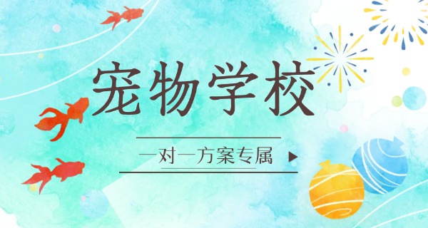 黑	龙江宠物训练中心